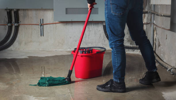 Best Water damage contractors near me  in Loogootee, IN