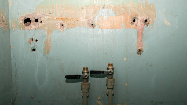 Best Emergency water damage restoration  in Loogootee, IN