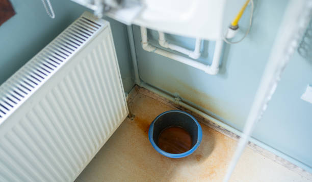 Best Water damage restoration near me  in Loogootee, IN