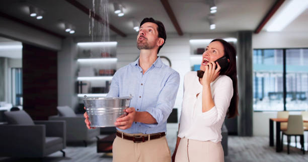 Best Flood restoration services  in Loogootee, IN